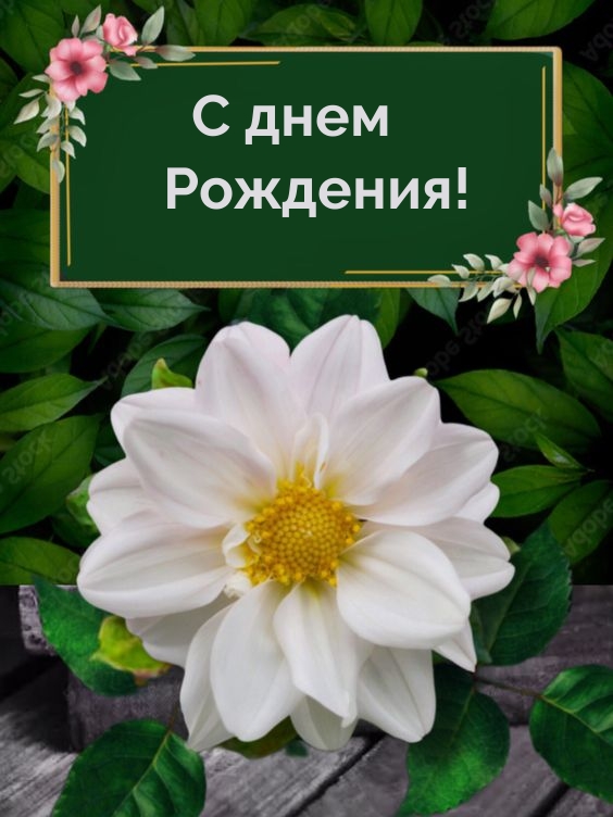 С днем Рождения!