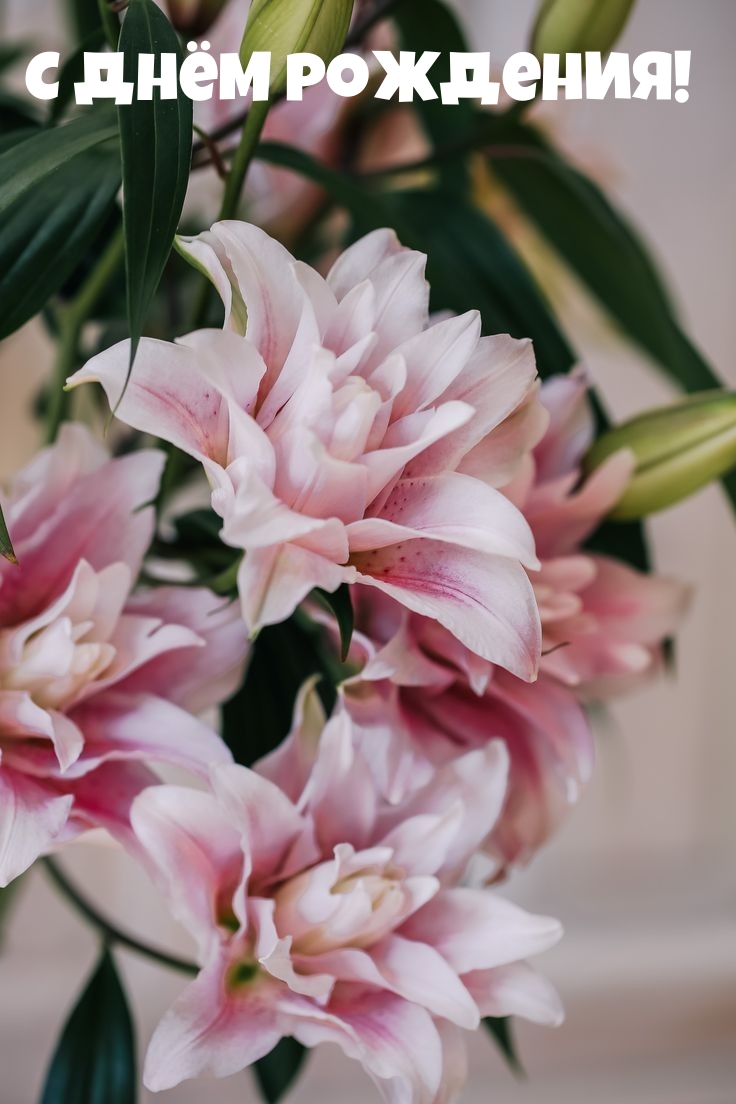 С днём рождения!