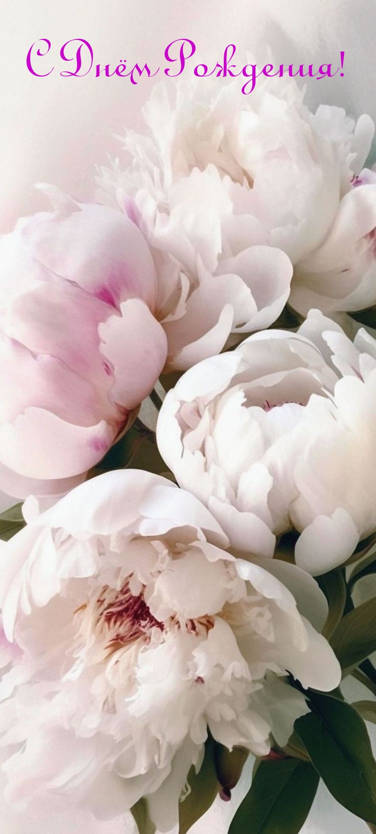 С Днём Рождения!