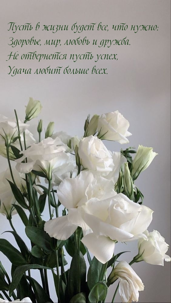 Пусть в жизни будет все, что нужно: здоровье, мир, любовь и дружба.