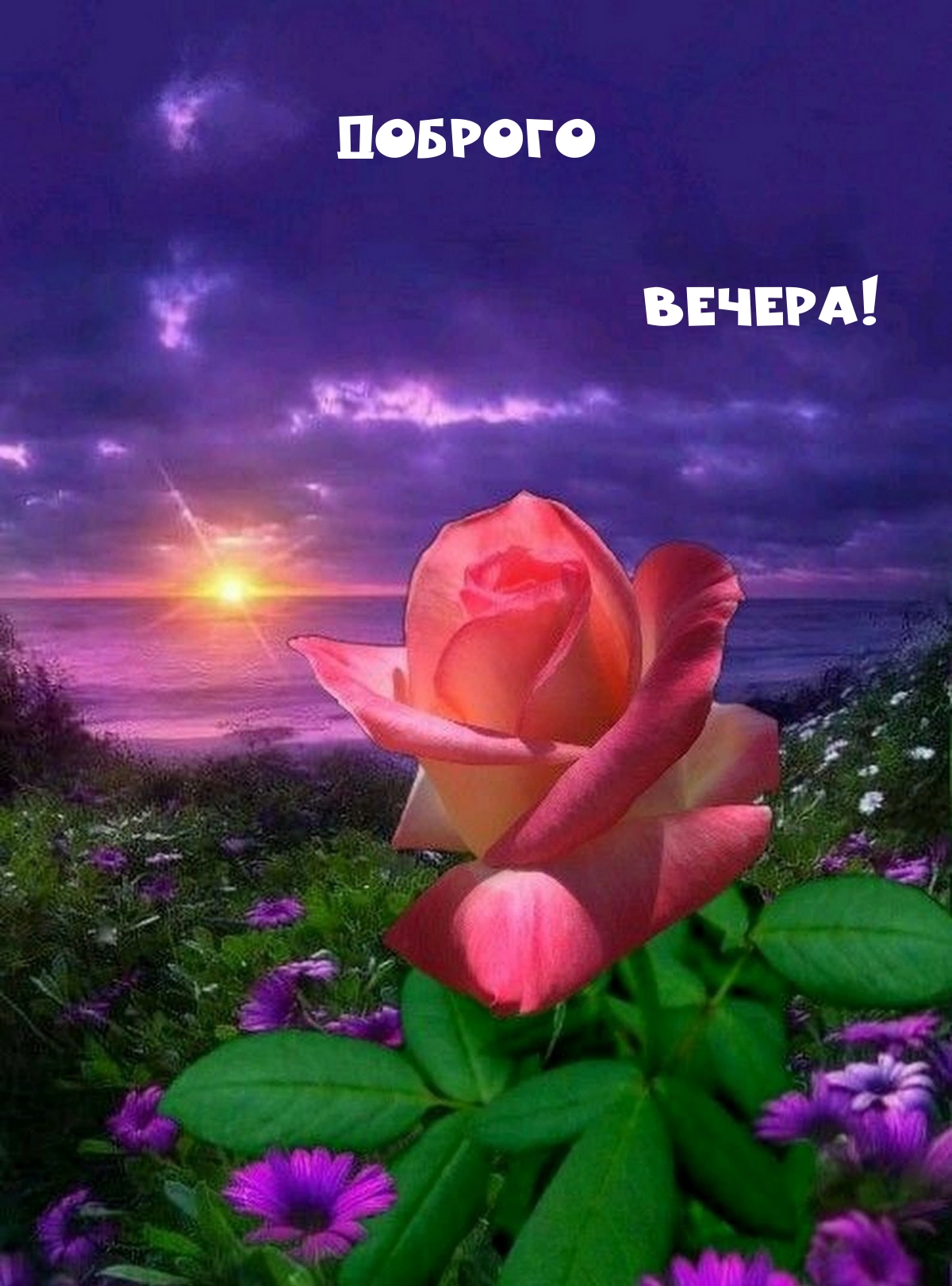 Доброго вечера!