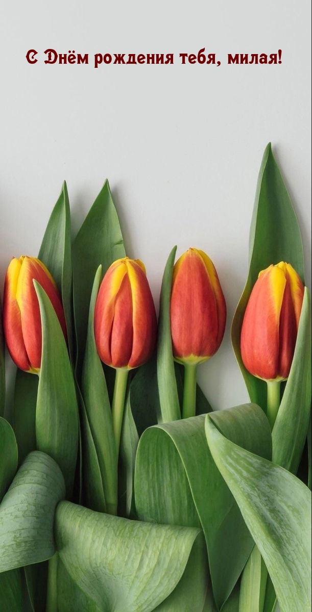 С Днём рождения тебя, милая!
