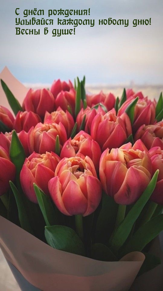 С днём рождения! Улыбайся каждому новому дню!