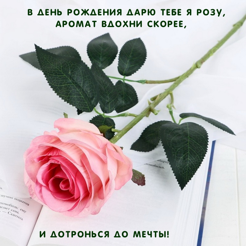 В день рождения дарю тебе я розу, аромат вдохни скорее