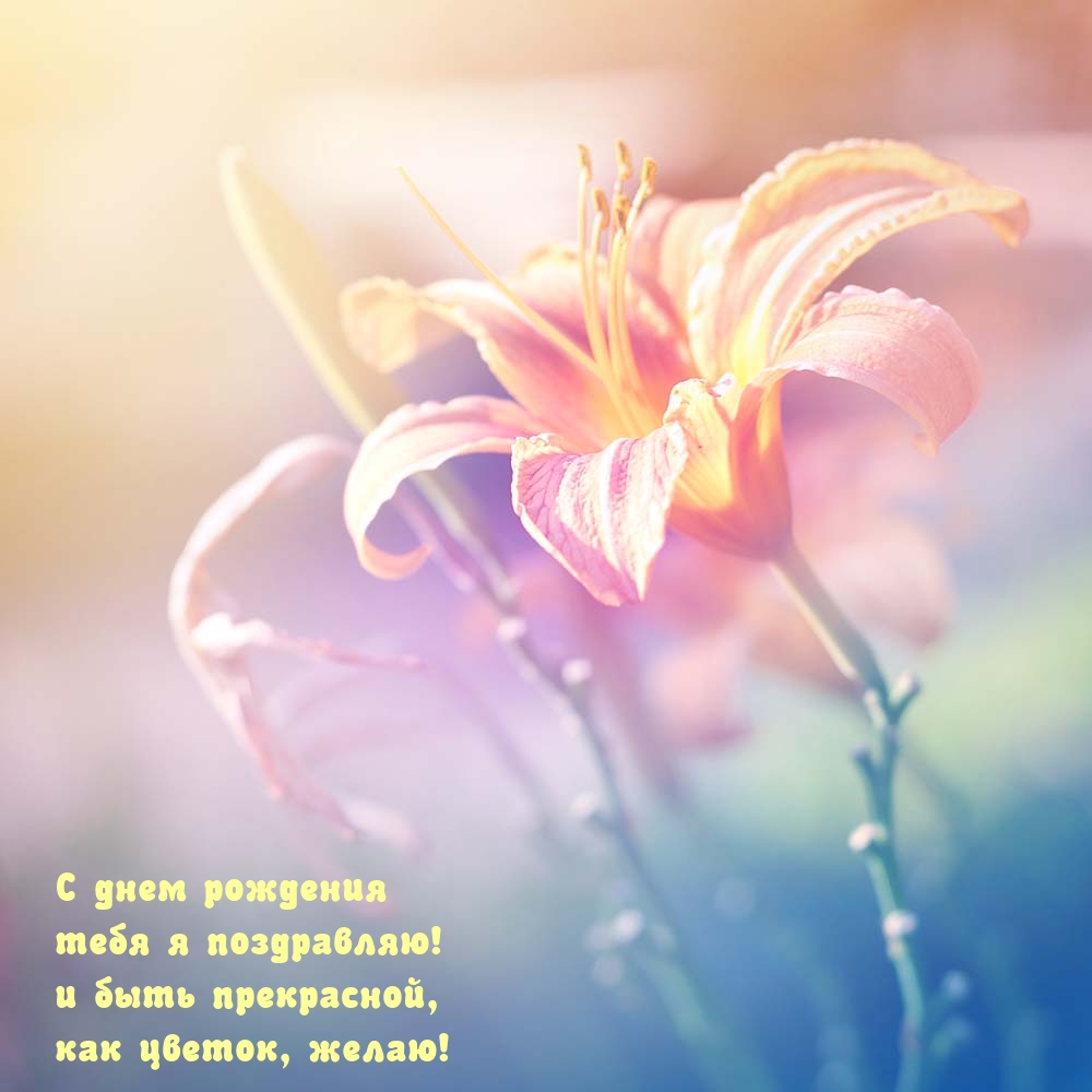 С днем рождения! И быть прекрасной, как цветок, желаю!