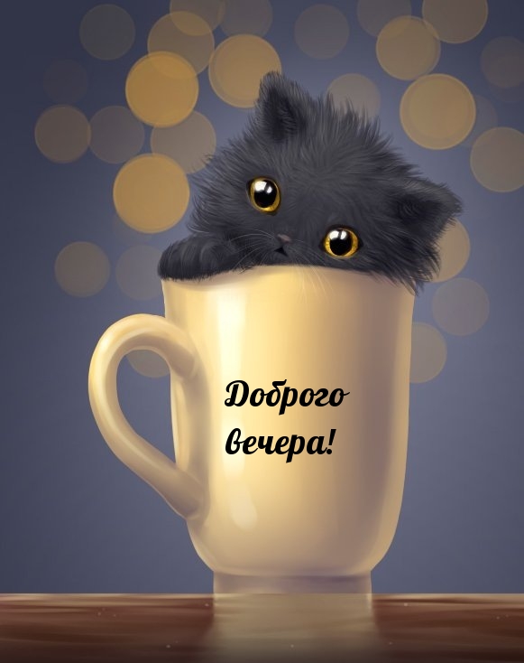 Доброго вечера!