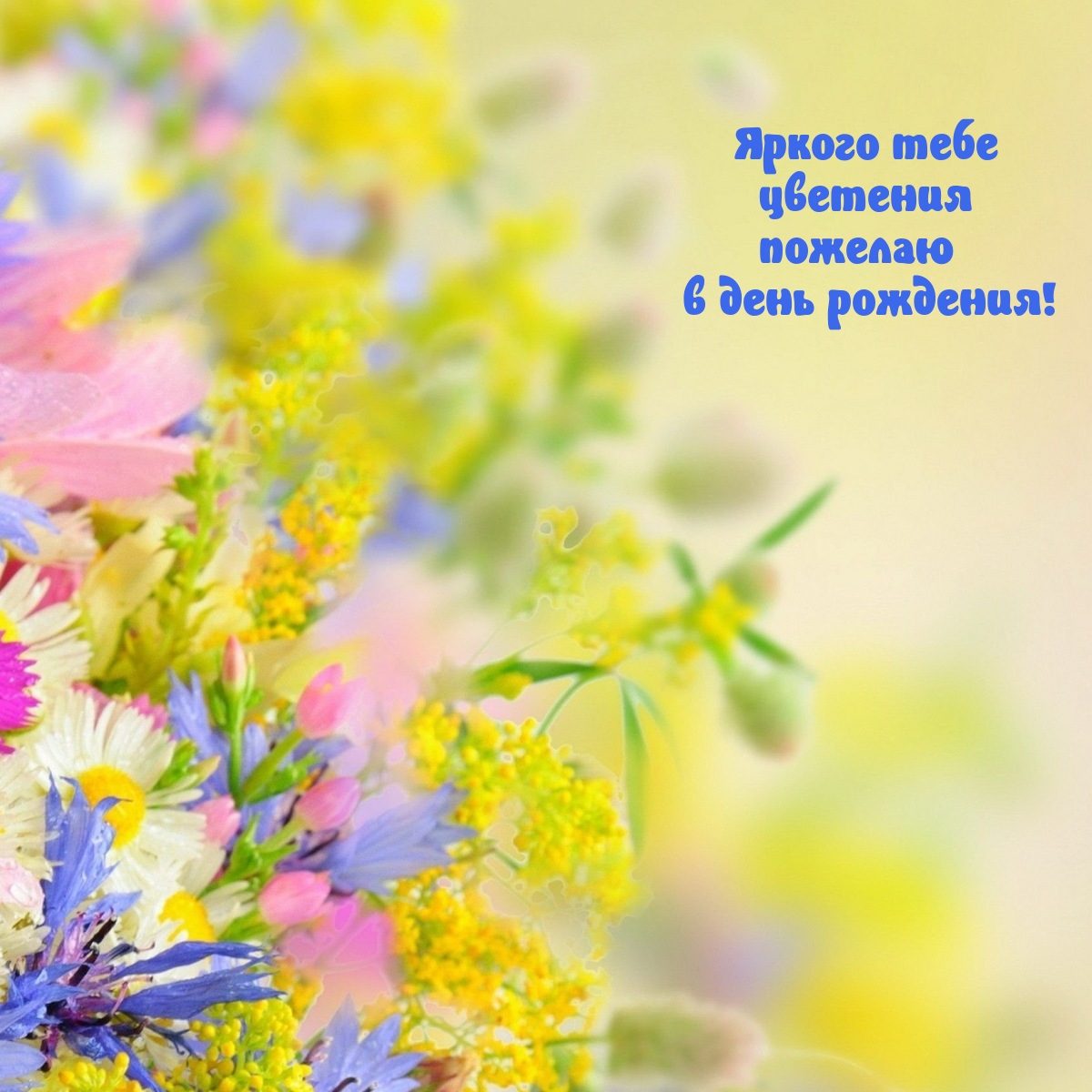Яркого тебе цветения пожелаю в день рождения!