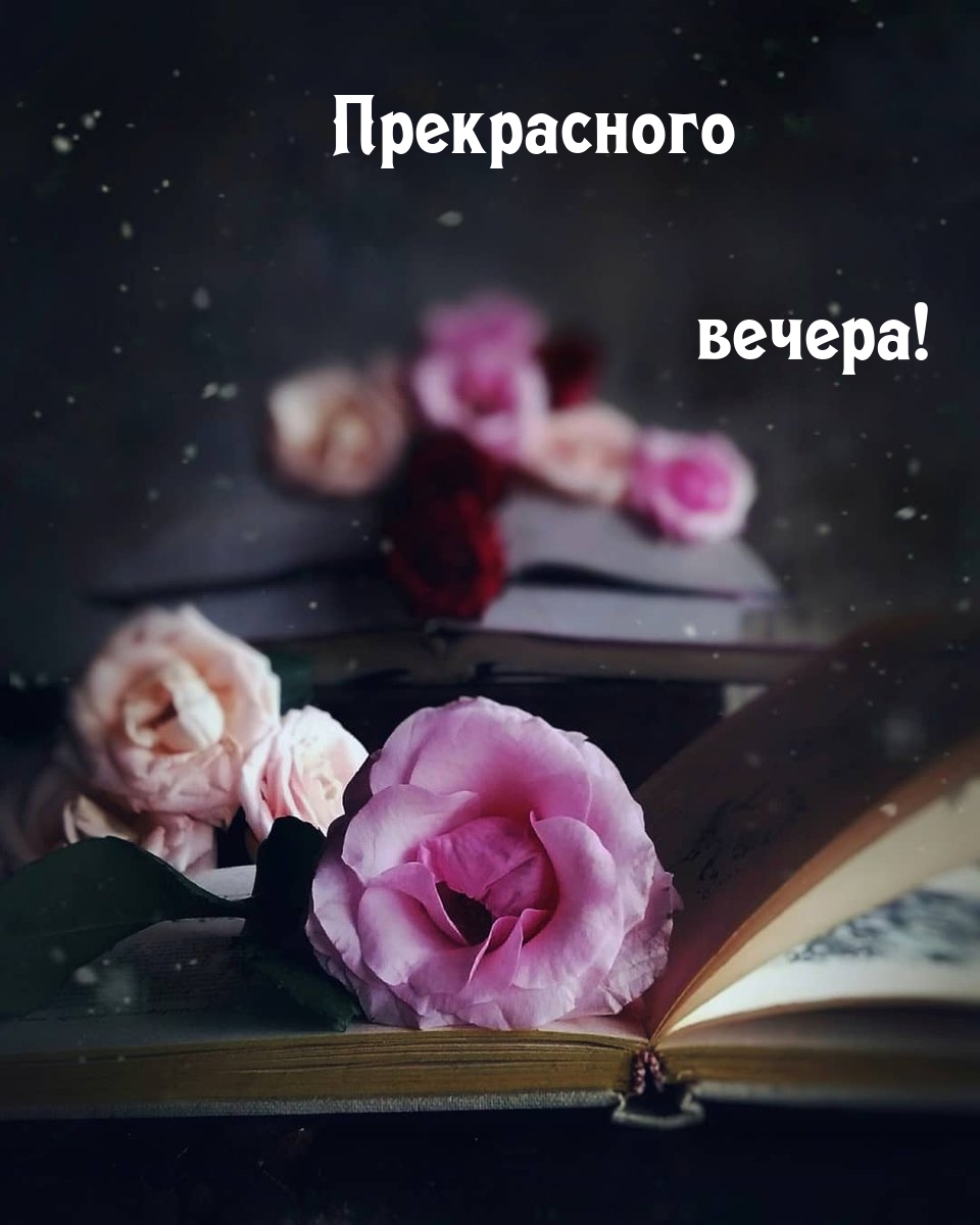 Прекрасного вечера!