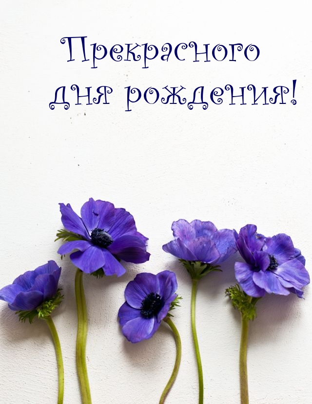 Прекрасного дня рождения!