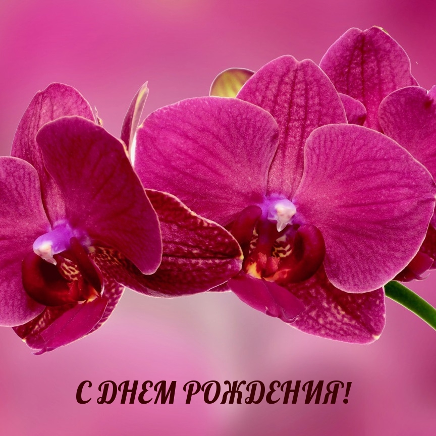 С днем рождения!