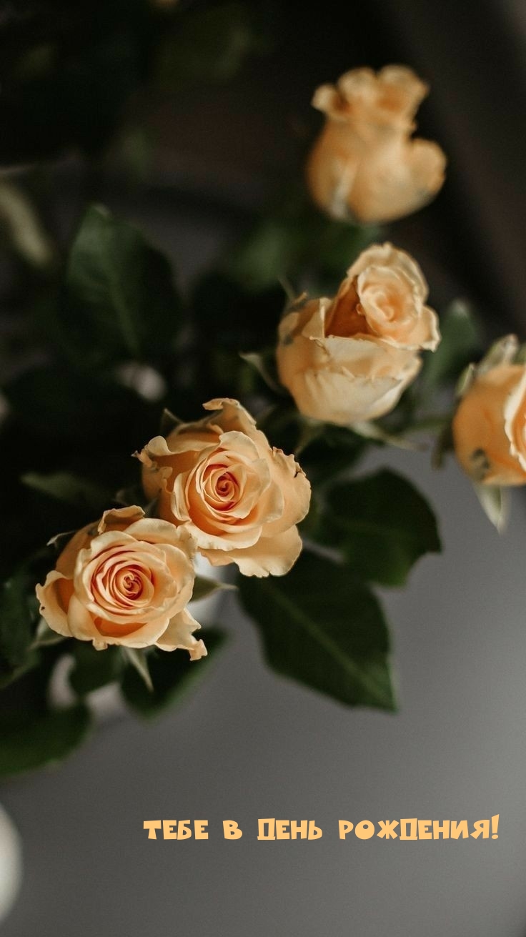 Тебе в День Рождения!
