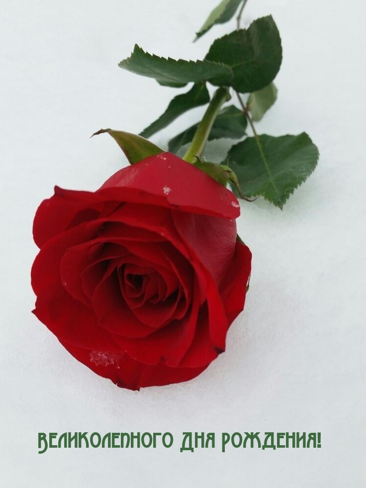 Великолепного Дня Рождения!