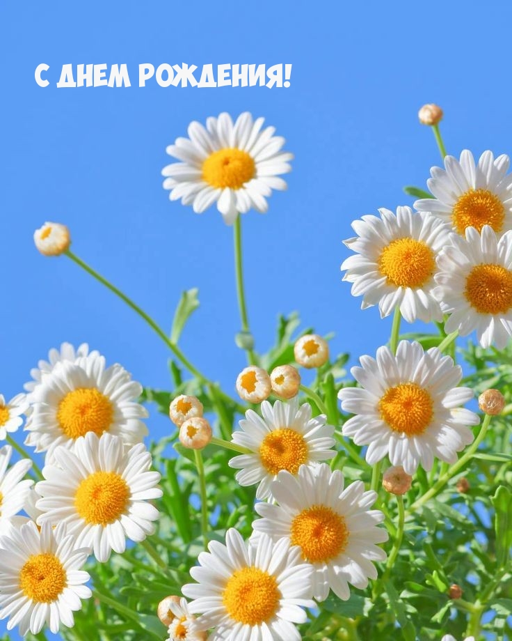 С Днем Рождения!