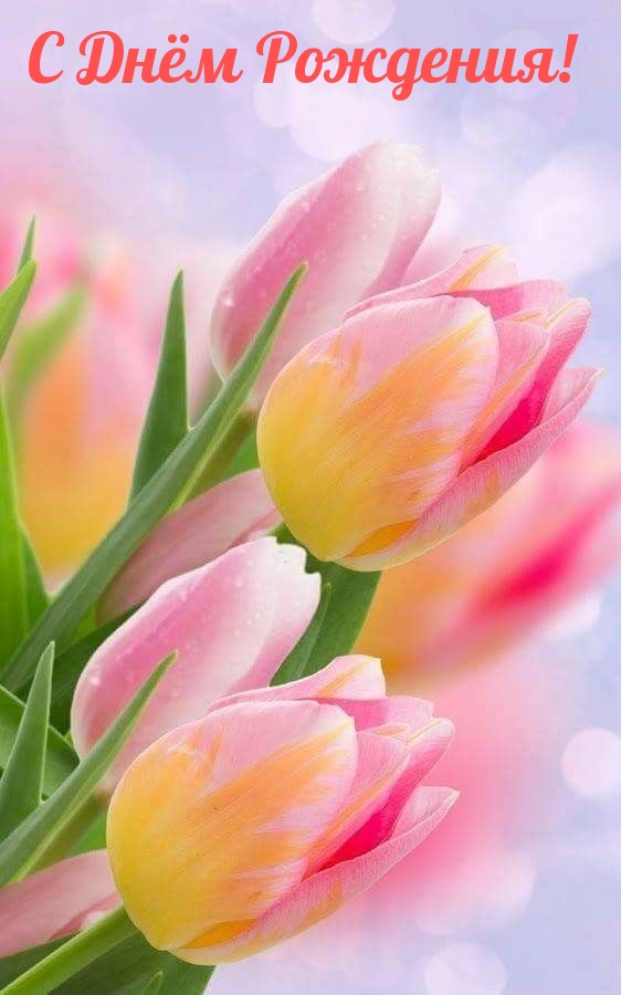 С Днём Рождения!
