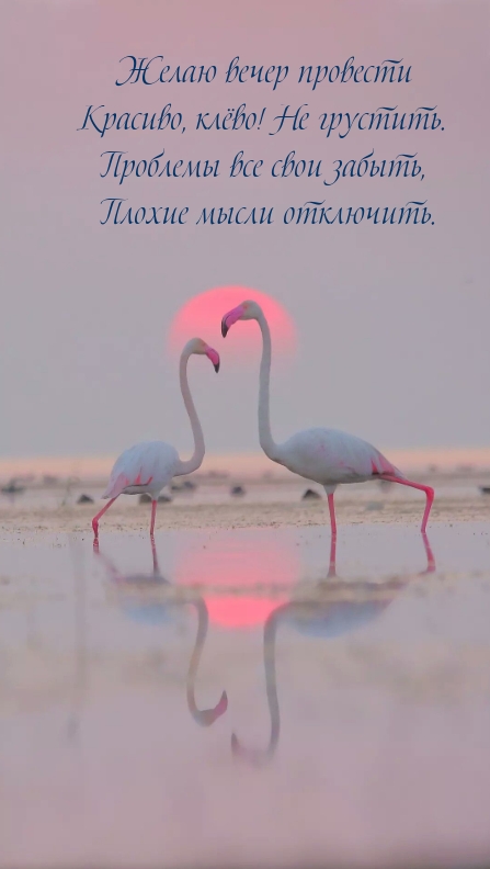 Желаю вечер провести красиво, клёво! Не грустить.