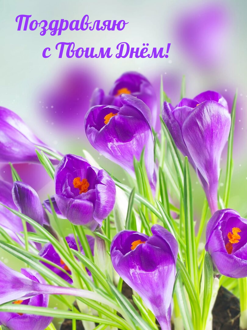 Поздравляю с Твоим Днём!