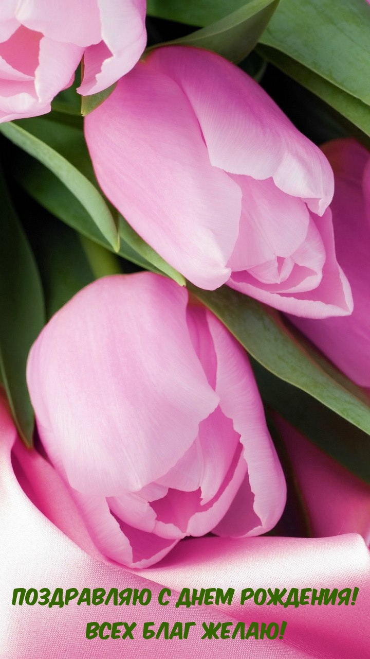 Поздравляю с днем рождения! Всех благ желаю!