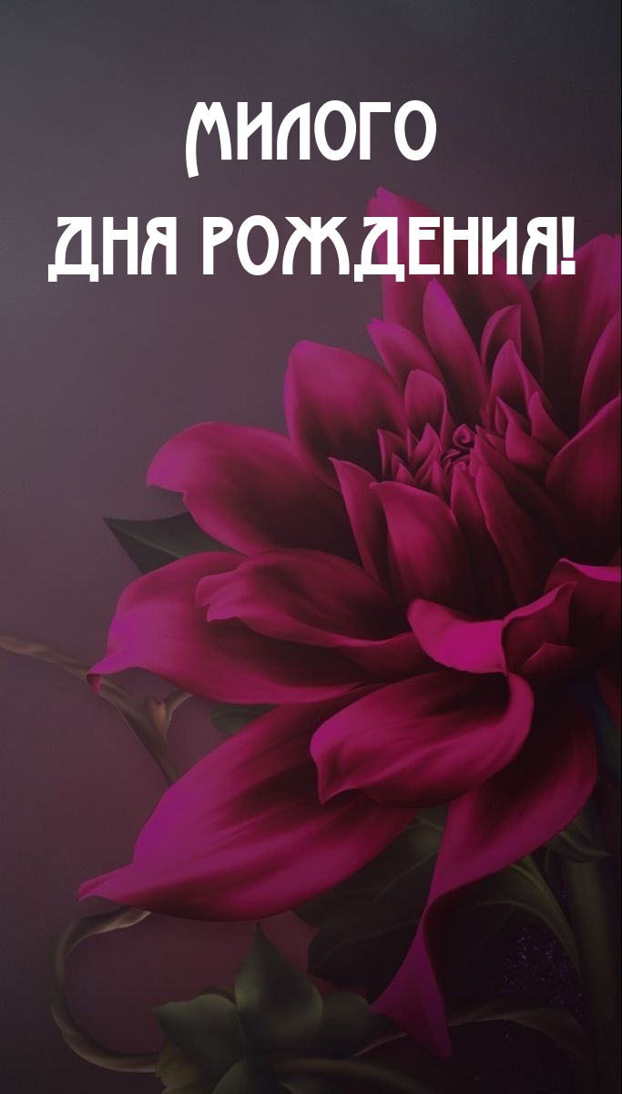 Милого дня рождения!