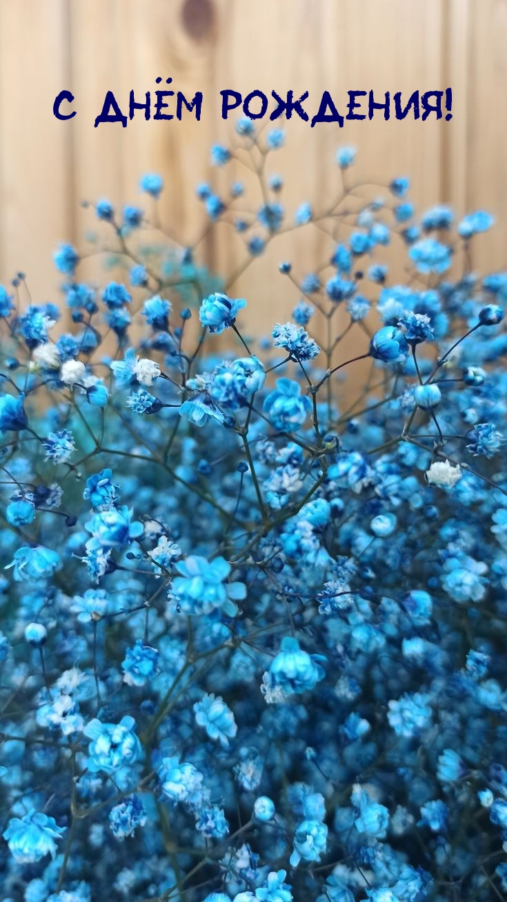 С Днём Рождения!