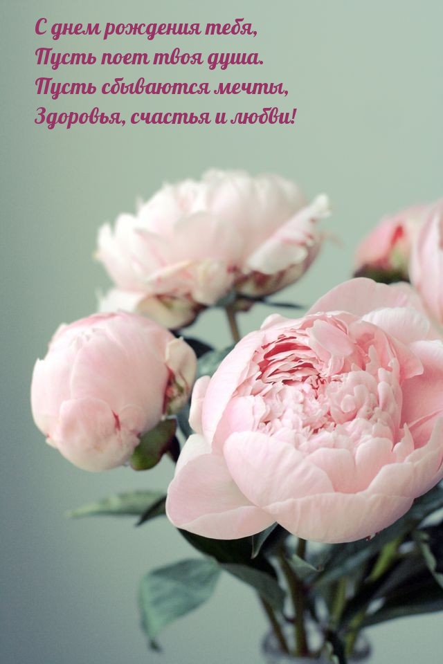 С днем рождения тебя, Пусть поет твоя душа.