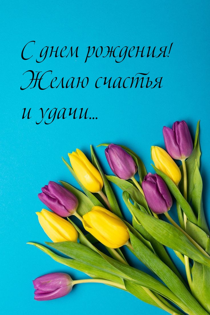 С днем рождения! Желаю счастья и удачи... 