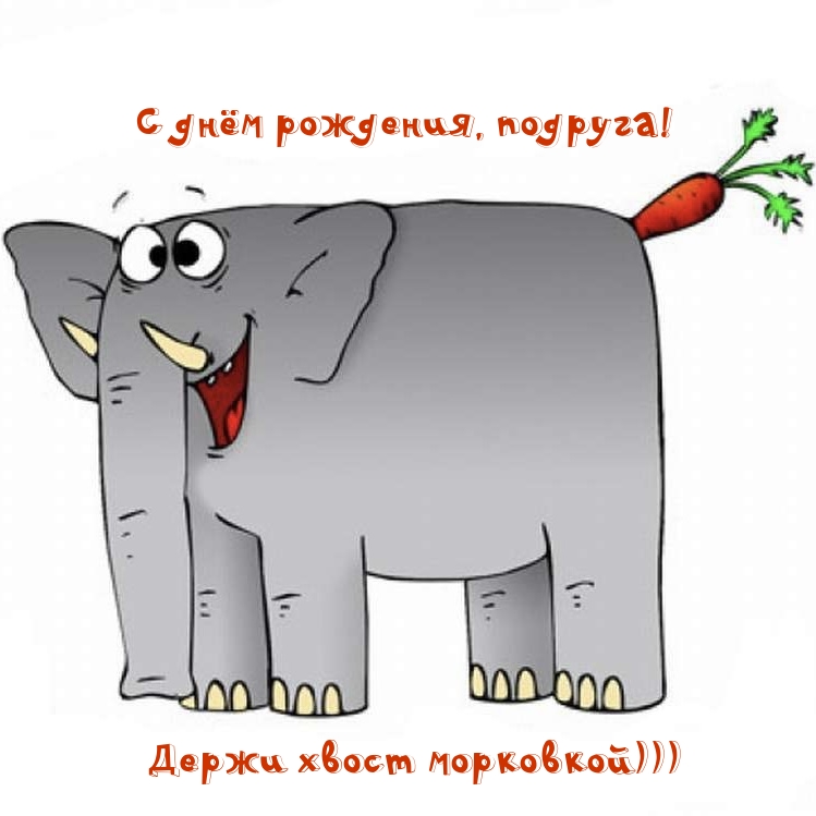 С днём рождения, подруга! Держи хвост морковкой)