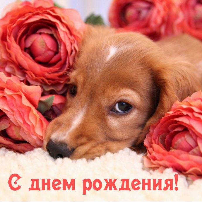 С днем рождения!