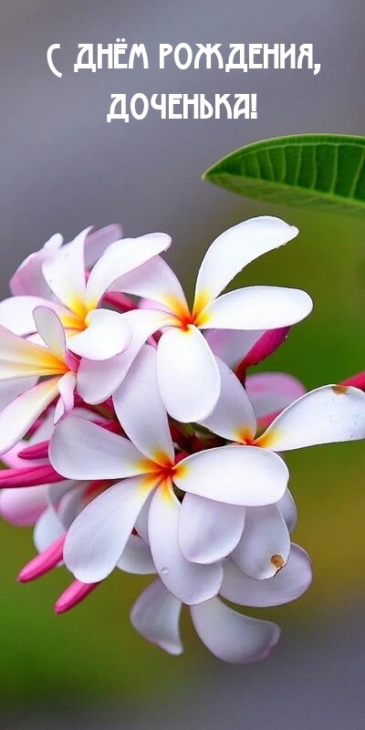 С днём рождения, доченька!