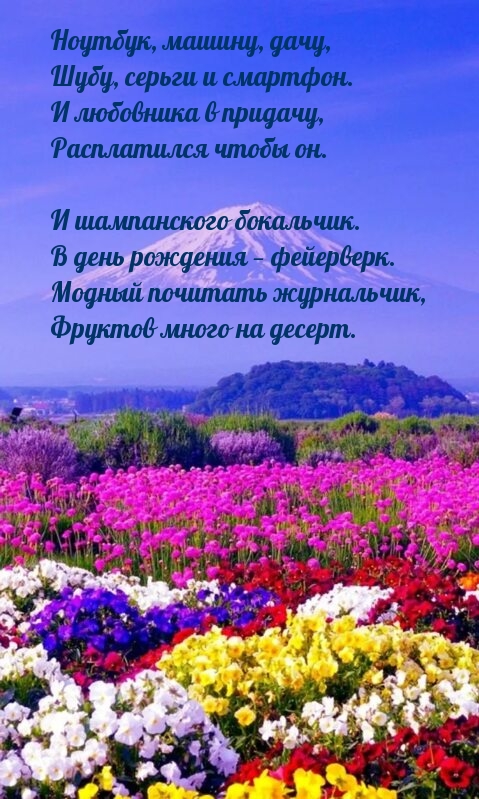 Ноутбук, машину, дачу, шубу, серьги и смартфон.