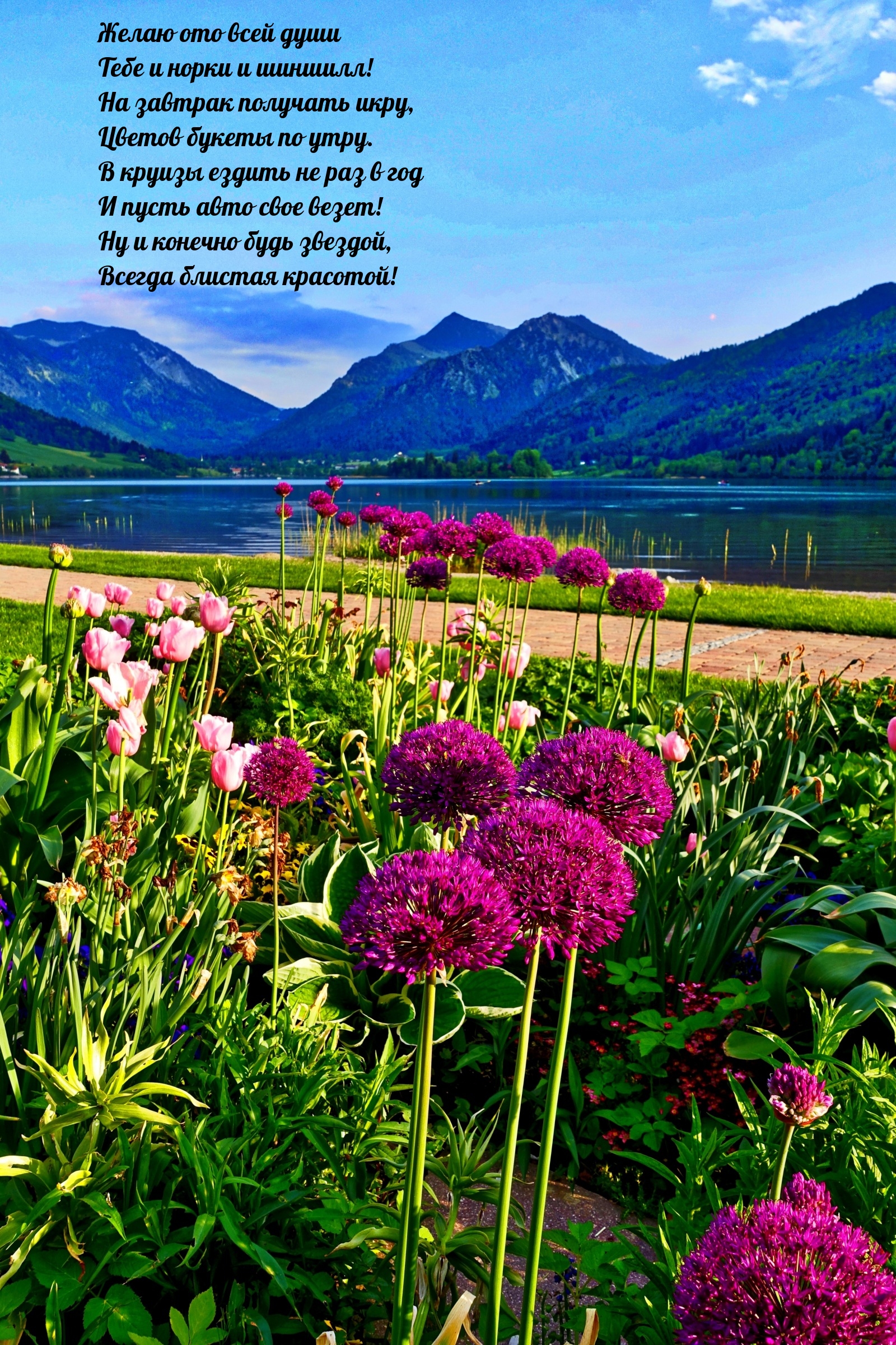 Желаю ото всей души тебе и норки и шиншилл!