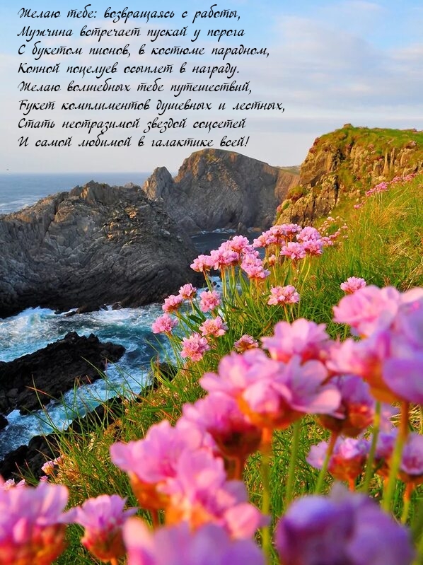 Возвращаясь с работы, мужчина встречает пускай у порога