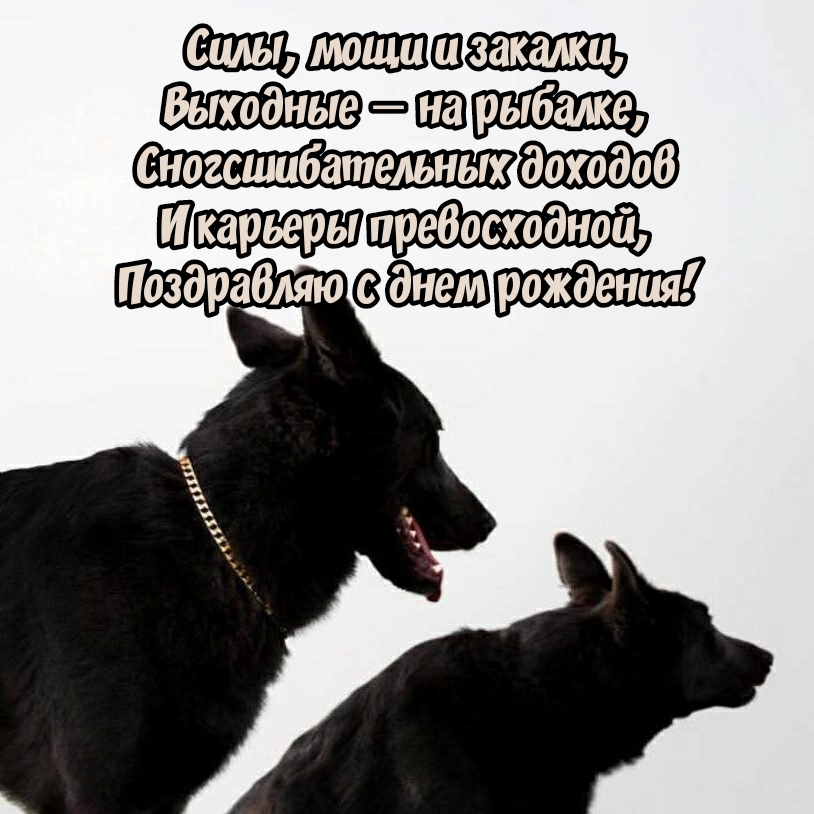Поздравляю с днем рождения! Силы, мощи и закалки