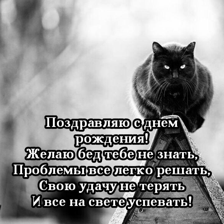 С днем рождения! Желаю бед тебе не знать
