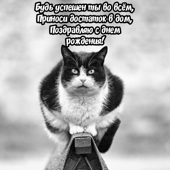 Приноси достаток в дом, поздравляю с днем рождения!