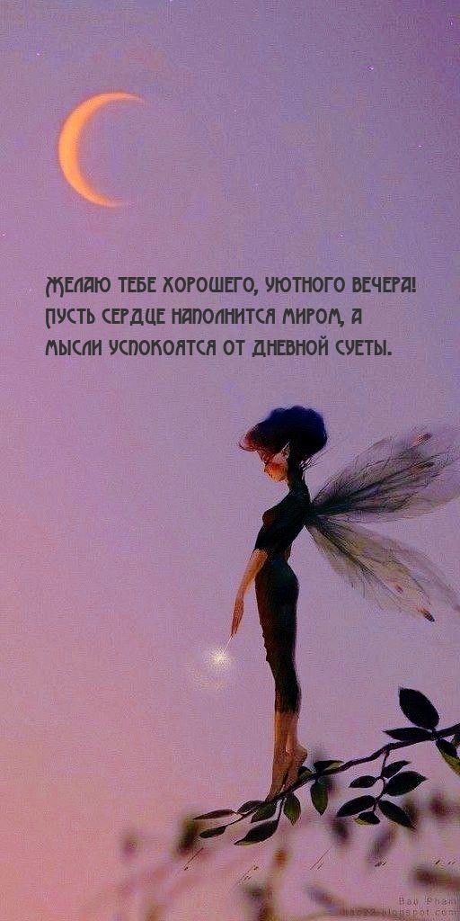 Желаю тебе хорошего, уютного вечера! 