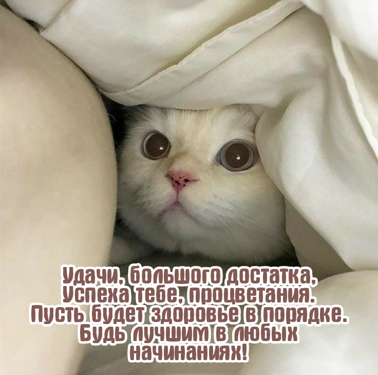 Пусть будет здоровье в порядке. Будь лучшим в любых начинаниях!