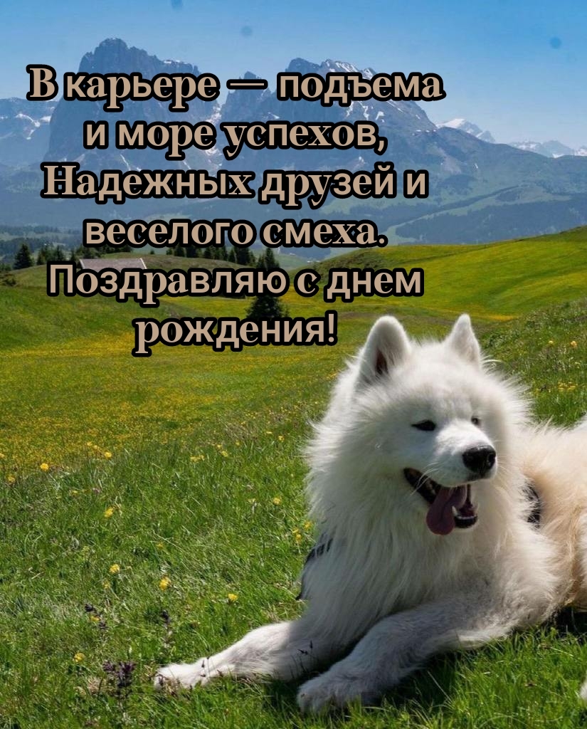 Надежных друзей и веселого смеха. Поздравляю с днем рождения!