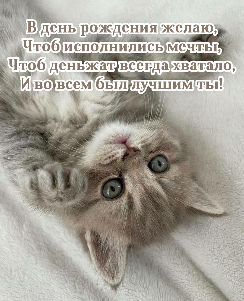 В день рождения желаю, чтоб исполнились мечты