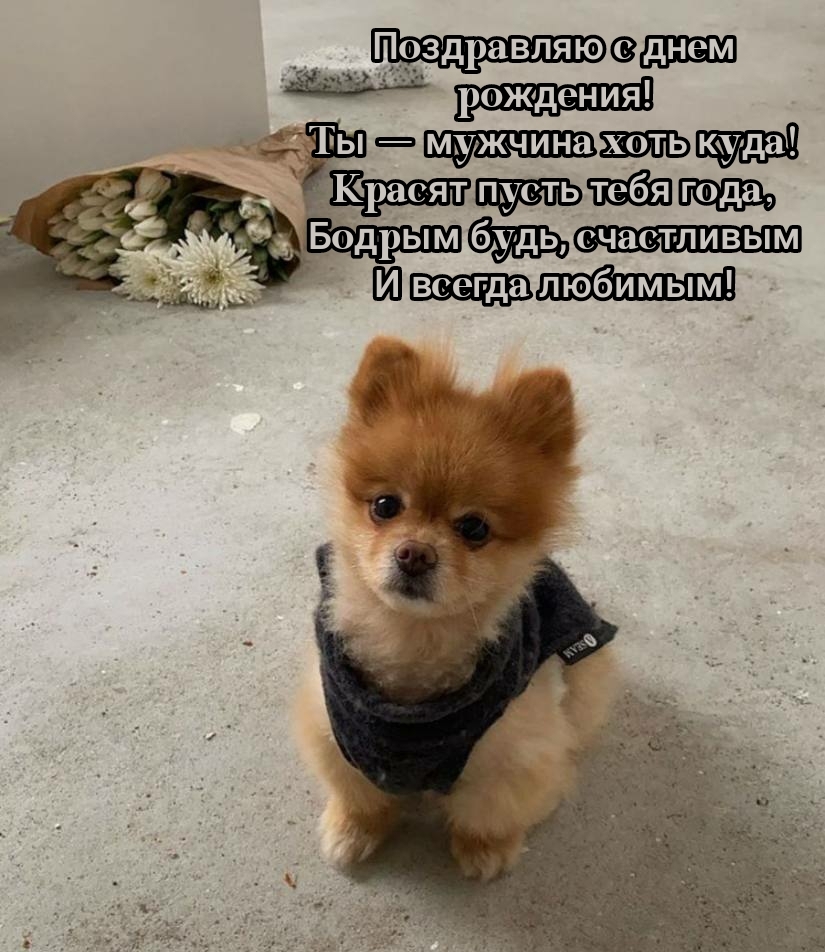 Поздравляю с днем рождения! Ты — мужчина хоть куда!