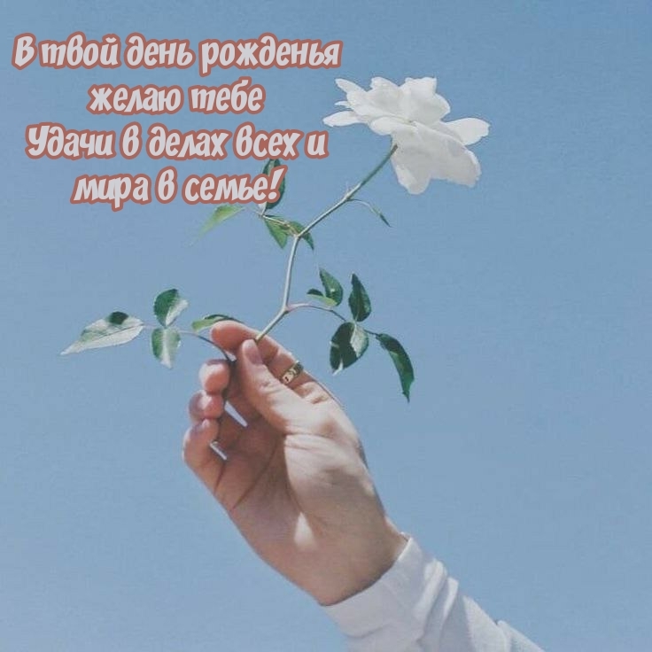 В день рожденья желаю тебе удачи в делах всех и мира в семье!