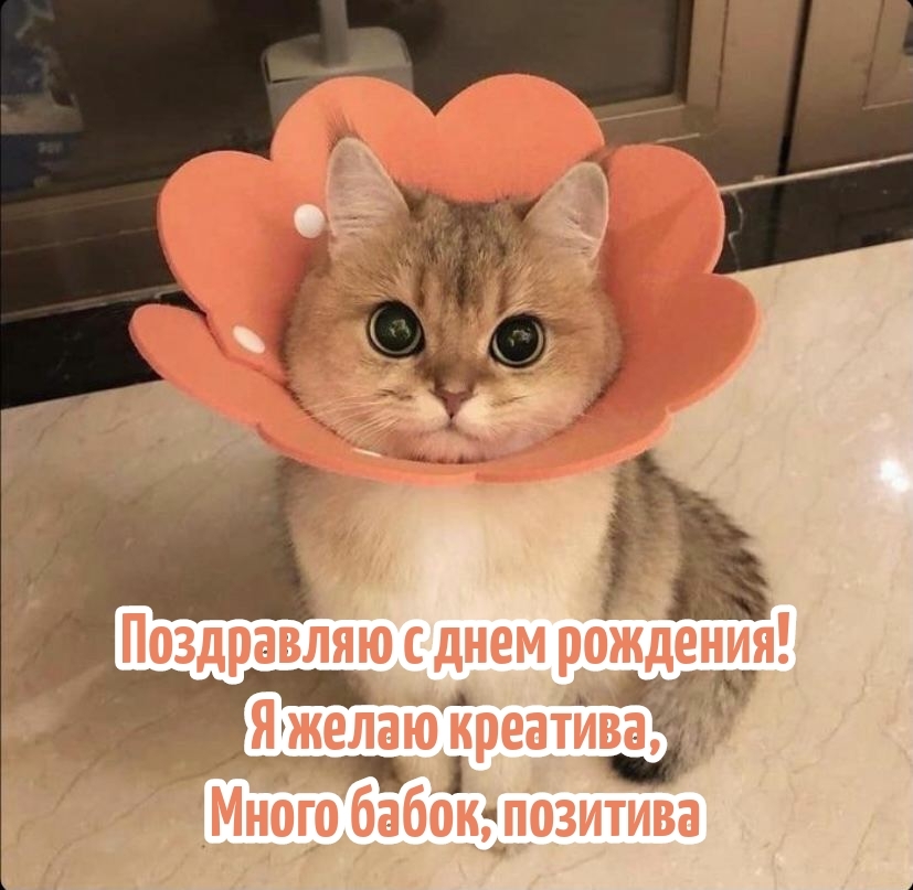 Поздравляю с днем рождения! Я желаю креатива