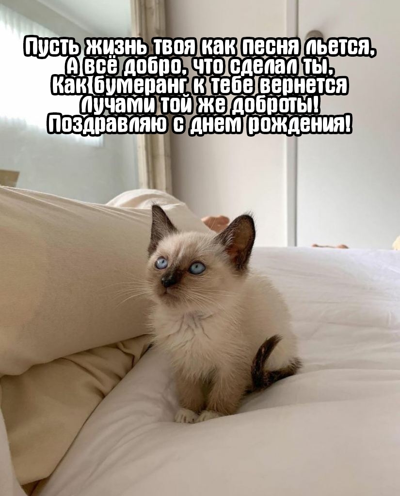 Поздравляю с днем рождения! Пусть жизнь твоя как песня льется