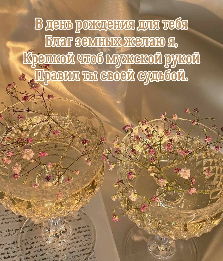 В день рождения для тебя благ земных желаю я