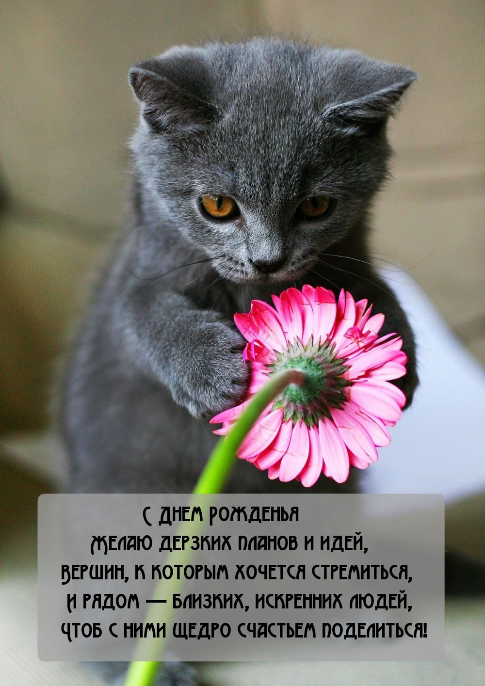 С Днем Рожденья Желаю дерзких планов и идей