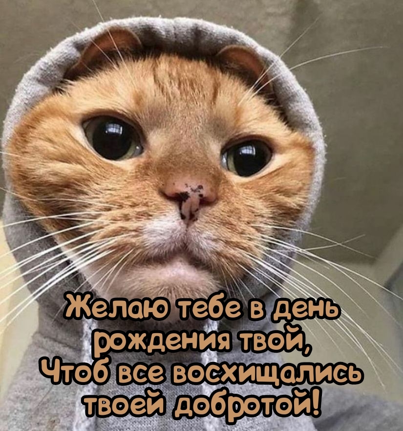 Желаю тебе в день рождения, чтоб все восхищались твоей добротой!