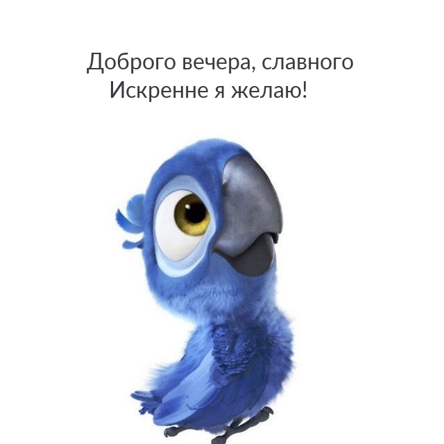 Доброго вечера, славного искренне я желаю!