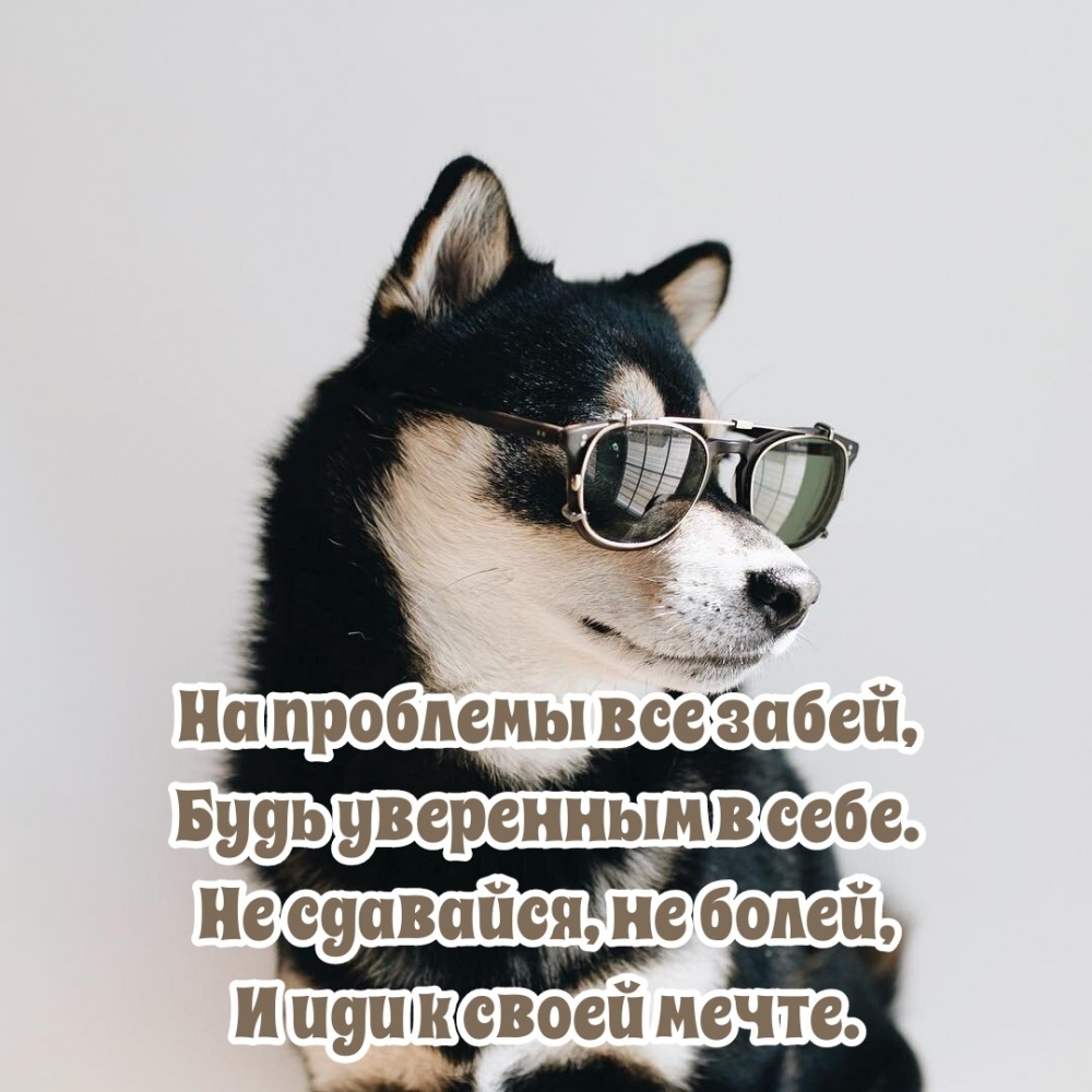 На проблемы все забей, будь уверенным в себе.