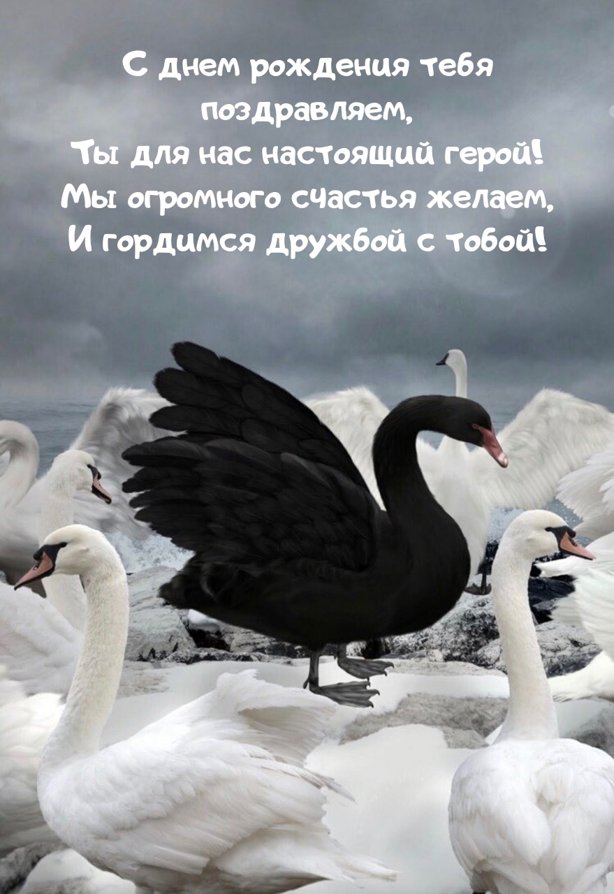 С днем рождения тебя поздравляем, ты для нас настоящий герой!
