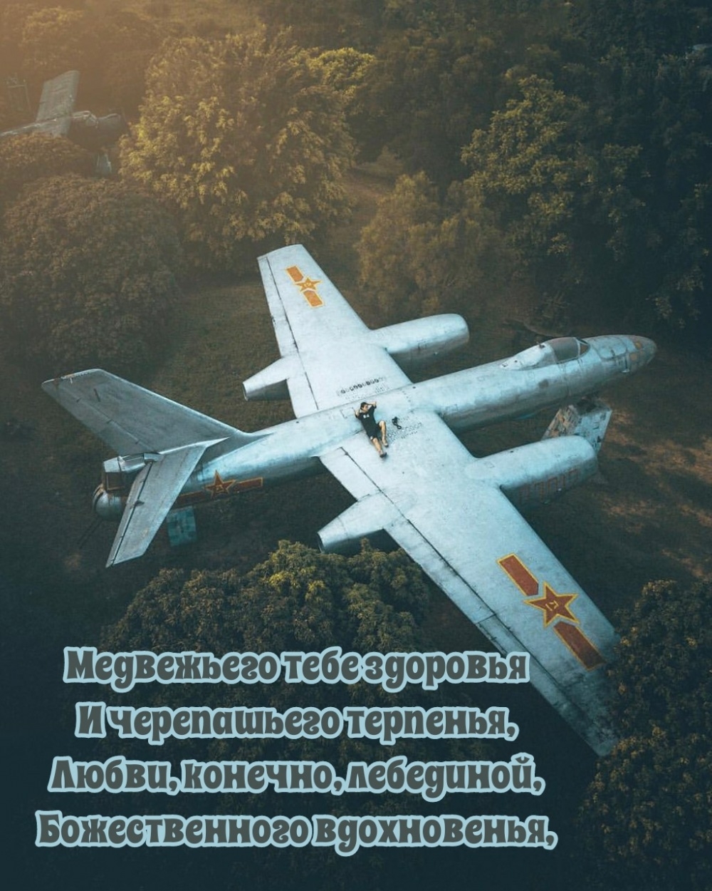 Медвежьего тебе здоровья и черепашьего терпенья