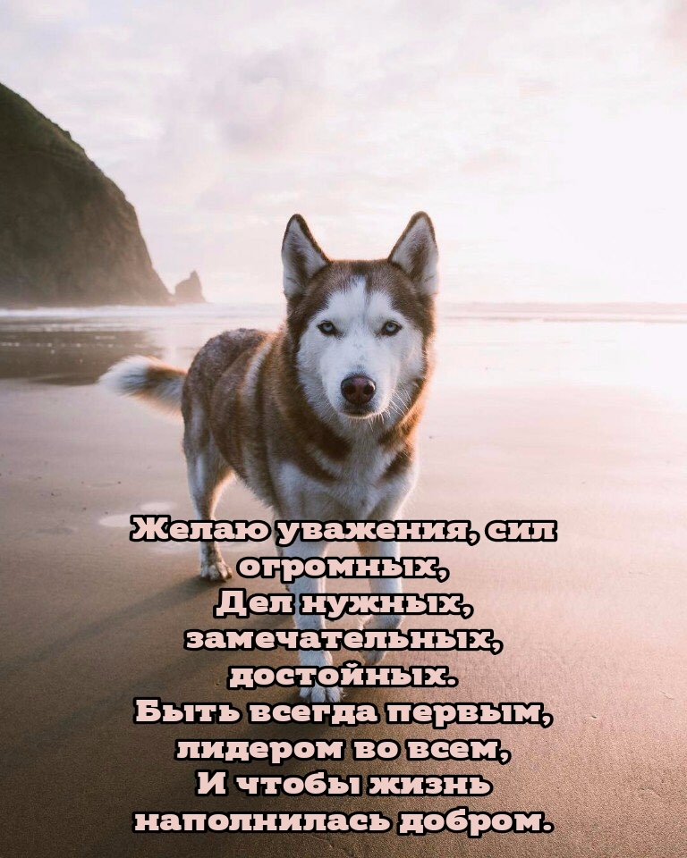 Уважения, сил огромных, дел нужных, замечательных, достойных.